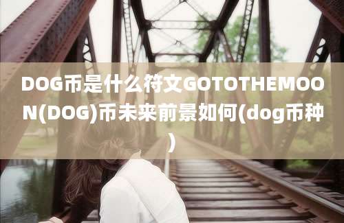 DOG币是什么符文GOTOTHEMOON(DOG)币未来前景如何(dog币种)