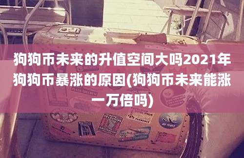 狗狗币未来的升值空间大吗2021年狗狗币暴涨的原因(狗狗币未来能涨一万倍吗)