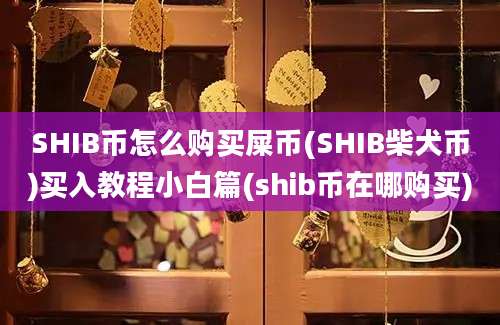 SHIB币怎么购买屎币(SHIB柴犬币)买入教程小白篇(shib币在哪购买)