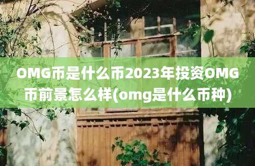 OMG币是什么币2023年投资OMG币前景怎么样(omg是什么币种)