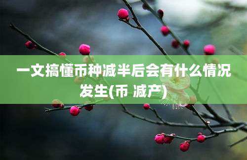 一文搞懂币种减半后会有什么情况发生(币 减产)