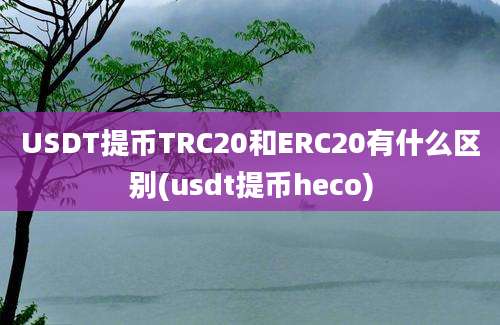 USDT提币TRC20和ERC20有什么区别(usdt提币heco)