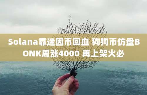 Solana靠迷因币回血 狗狗币仿盘BONK周涨4000 再上架火必