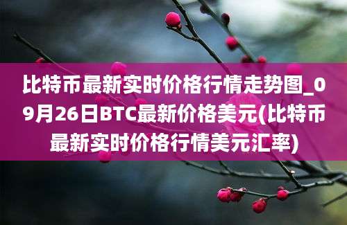 比特币最新实时价格行情走势图_09月26日BTC最新价格美元(比特币最新实时价格行情美元汇率)