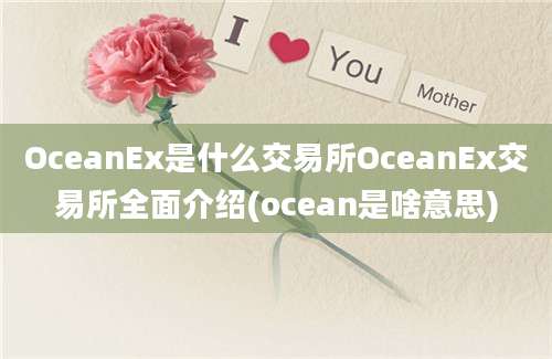 OceanEx是什么交易所OceanEx交易所全面介绍(ocean是啥意思)