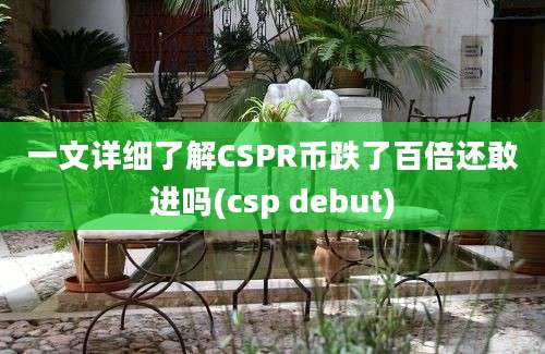 一文详细了解CSPR币跌了百倍还敢进吗(csp debut)