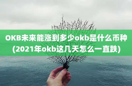 OKB未来能涨到多少okb是什么币种(2021年okb这几天怎么一直跌)