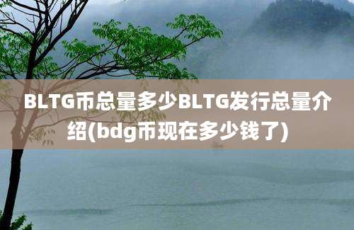 BLTG币总量多少BLTG发行总量介绍(bdg币现在多少钱了)