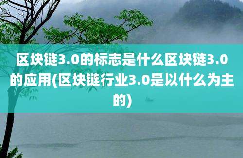 区块链3.0的标志是什么区块链3.0的应用(区块链行业3.0是以什么为主的)