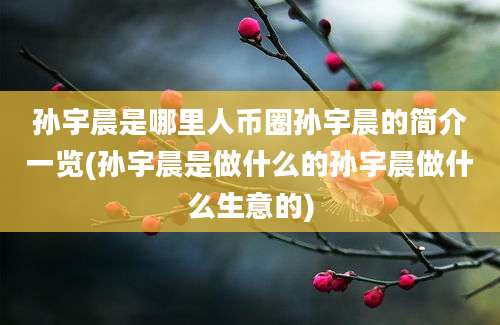 孙宇晨是哪里人币圈孙宇晨的简介一览(孙宇晨是做什么的孙宇晨做什么生意的)