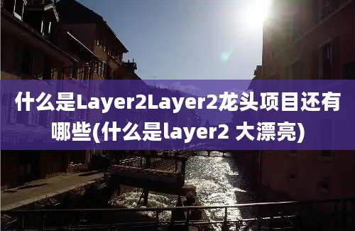 什么是Layer2Layer2龙头项目还有哪些(什么是layer2 大漂亮)