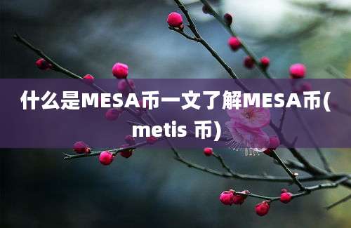 什么是MESA币一文了解MESA币(metis 币)