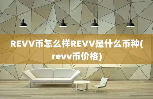 REVV币怎么样REVV是什么币种(revv币价格)