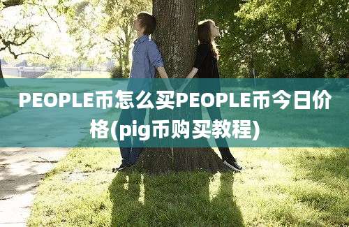 PEOPLE币怎么买PEOPLE币今日价格(pig币购买教程)