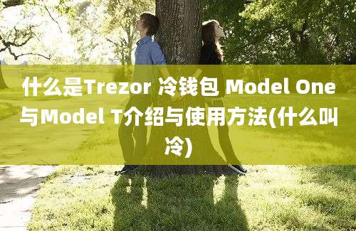 什么是Trezor 冷钱包 Model One与Model T介绍与使用方法(什么叫冷)