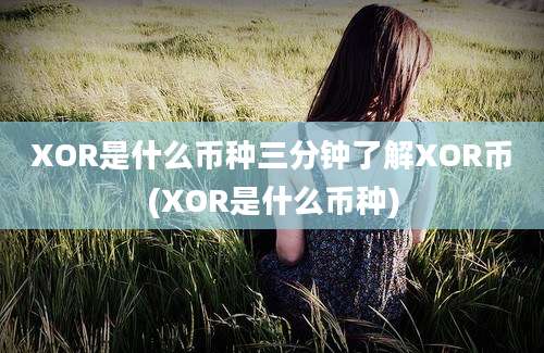 XOR是什么币种三分钟了解XOR币(XOR是什么币种)