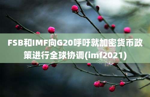 FSB和IMF向G20呼吁就加密货币政策进行全球协调(imf2021)