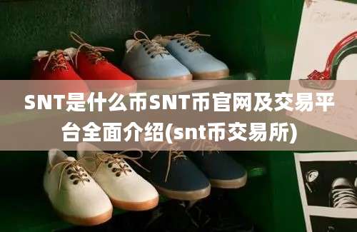 SNT是什么币SNT币官网及交易平台全面介绍(snt币交易所)