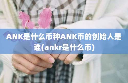 ANK是什么币种ANK币的创始人是谁(ankr是什么币)