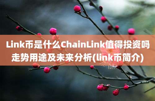 Link币是什么ChainLink值得投资吗走势用途及未来分析(link币简介)