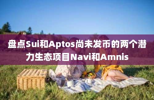 盘点Sui和Aptos尚未发币的两个潜力生态项目Navi和Amnis