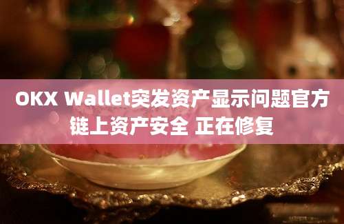 OKX Wallet突发资产显示问题官方链上资产安全 正在修复