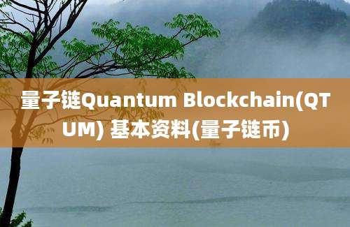 量子链Quantum Blockchain(QTUM) 基本资料(量子链币)