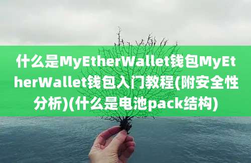 什么是MyEtherWallet钱包MyEtherWallet钱包入门教程(附安全性分析)(什么是电池pack结构)