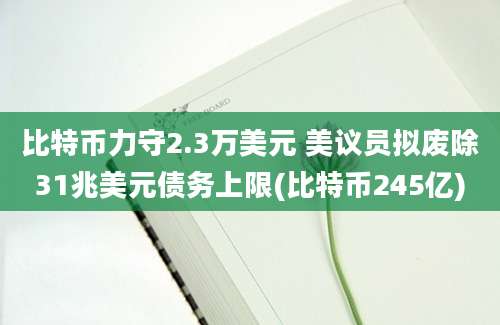 比特币力守2.3万美元 美议员拟废除31兆美元债务上限(比特币245亿)