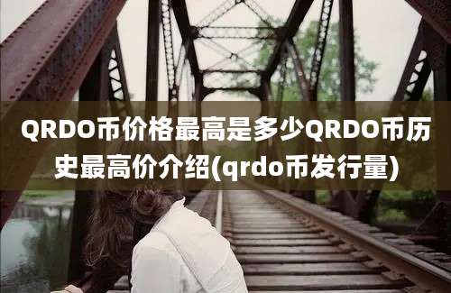 QRDO币价格最高是多少QRDO币历史最高价介绍(qrdo币发行量)