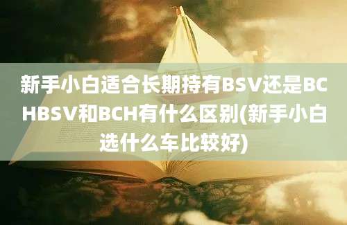 新手小白适合长期持有BSV还是BCHBSV和BCH有什么区别(新手小白选什么车比较好)