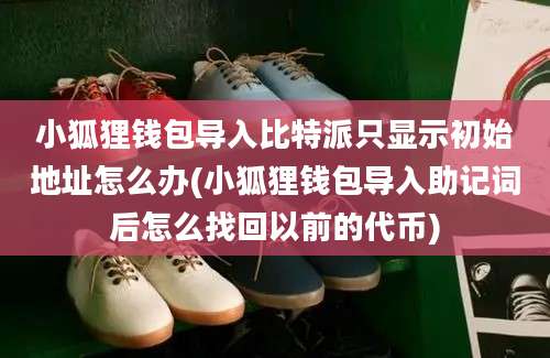 小狐狸钱包导入比特派只显示初始地址怎么办(小狐狸钱包导入助记词后怎么找回以前的代币)