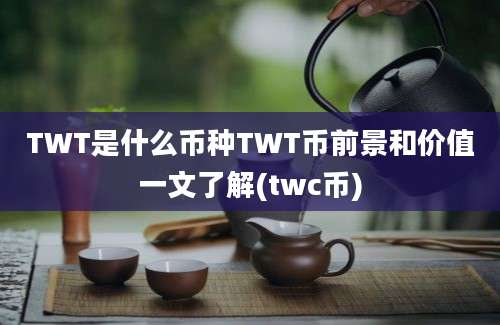 TWT是什么币种TWT币前景和价值一文了解(twc币)