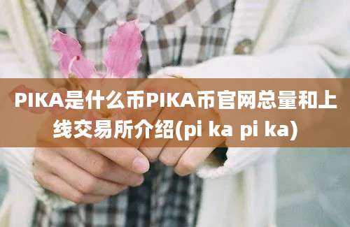 PIKA是什么币PIKA币官网总量和上线交易所介绍(pi ka pi ka)