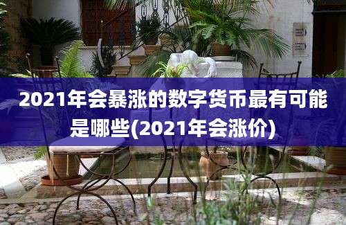 2021年会暴涨的数字货币最有可能是哪些(2021年会涨价)