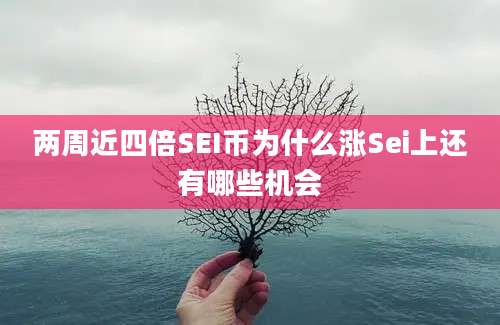 两周近四倍SEI币为什么涨Sei上还有哪些机会