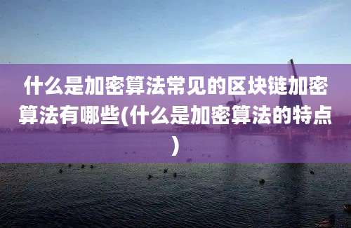 什么是加密算法常见的区块链加密算法有哪些(什么是加密算法的特点)