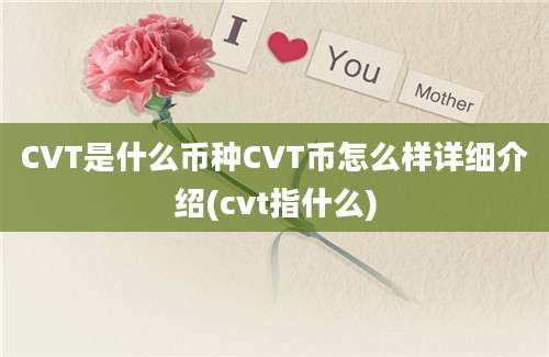 CVT是什么币种CVT币怎么样详细介绍(cvt指什么)