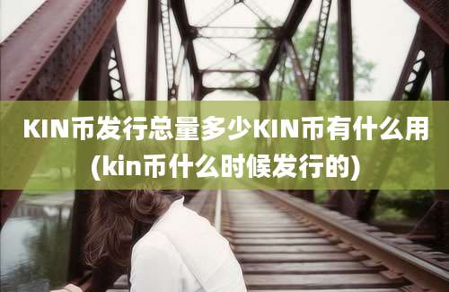 KIN币发行总量多少KIN币有什么用(kin币什么时候发行的)