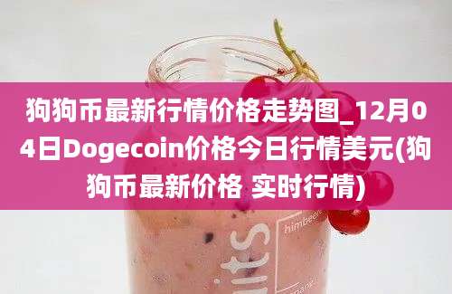 狗狗币最新行情价格走势图_12月04日Dogecoin价格今日行情美元(狗狗币最新价格 实时行情)