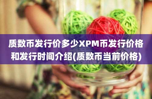 质数币发行价多少XPM币发行价格和发行时间介绍(质数币当前价格)