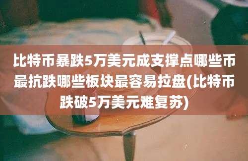 比特币暴跌5万美元成支撑点哪些币最抗跌哪些板块最容易拉盘(比特币跌破5万美元难复苏)