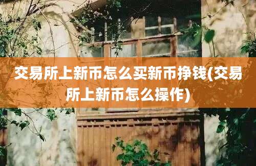 交易所上新币怎么买新币挣钱(交易所上新币怎么操作)