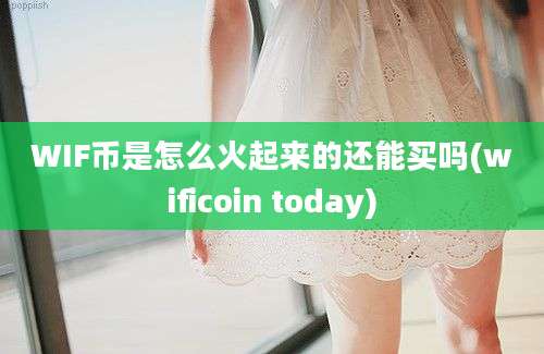 WIF币是怎么火起来的还能买吗(wificoin today)