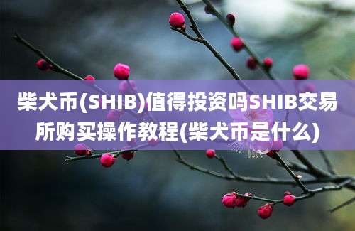 柴犬币(SHIB)值得投资吗SHIB交易所购买操作教程(柴犬币是什么)