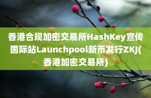 香港合规加密交易所HashKey宣传国际站Launchpool新币发行ZKJ(香港加密交易所)