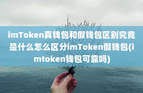 imToken真钱包和假钱包区别究竟是什么怎么区分imToken假钱包(imtoken钱包可靠吗)