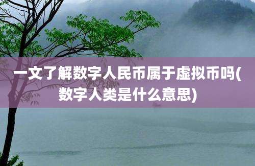 一文了解数字人民币属于虚拟币吗(数字人类是什么意思)