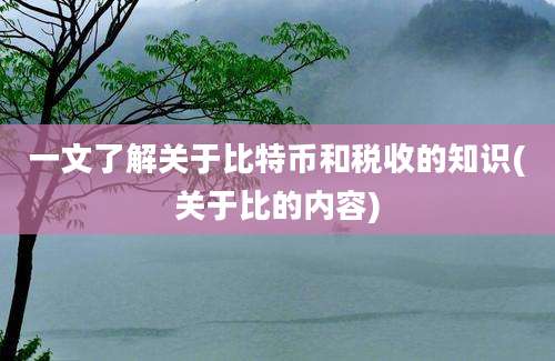 一文了解关于比特币和税收的知识(关于比的内容)