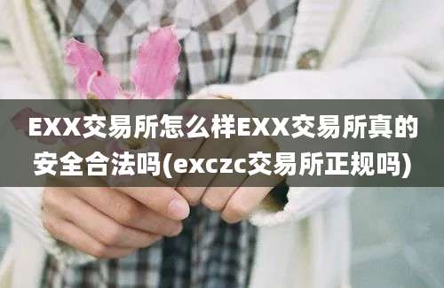 EXX交易所怎么样EXX交易所真的安全合法吗(exczc交易所正规吗)